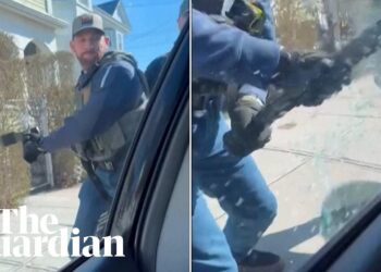US immigration officers smash car window to detain man