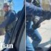 US immigration officers smash car window to detain man