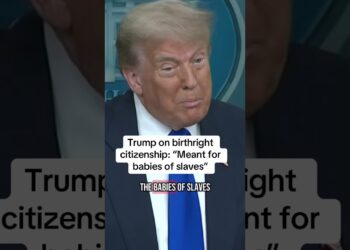 “Meant for babies of slaves” Trump on birthright citizenship ruling