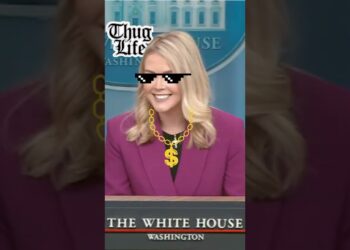Trump Press Secretary Embarrasses Reporter on Immigration – Thug Life