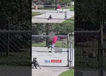 Illegal immigrant arrested after security camera catches kidnapping #shorts #foxnews #news #us #fox