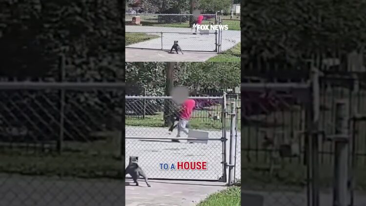 Illegal immigrant arrested after security camera catches kidnapping #shorts #foxnews #news #us #fox