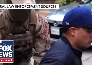 EXCLUSIVE: Hospital workers who blocked ICE arrest hit with federal charges