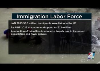 1.2 million immigrants are gone from the US labor force under Trump, preliminary data shows