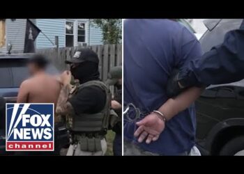 CAUGHT ON CAM: ICE captures illegal migrant