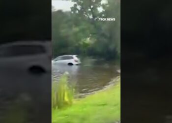 Anti-ICE protester’s car SINKS while yelling at agents #shorts #foxnews #news #us