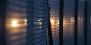 Immigration Reform News September 19, 2025