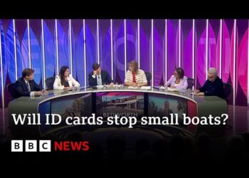 Will digital ID cards help tackle illegal immigration in UK? | BBC News