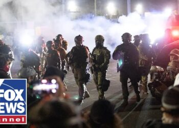 AUDIO REVEALED: Police ordered NOT to help ICE officers under attack