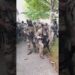 WATCH: Federal agents deploy tear gas during a tense standoff with a ‘hostile’ crowd #shorts #usa