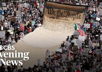 “No Kings” protests express fear, frustration with Trump administration