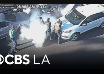 TikTok influencer, Deputy U.S. Marshal shot during LA immigration operation