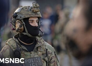 Analyst: Trump doesn’t care if Americans ‘starve and suffer’ as long as ICE is operational