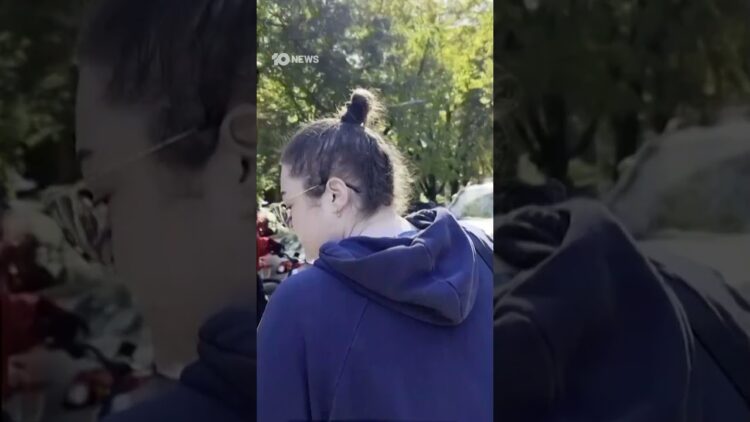 Chicago Residents Confront US Troops During Immigration Raid | 10 News