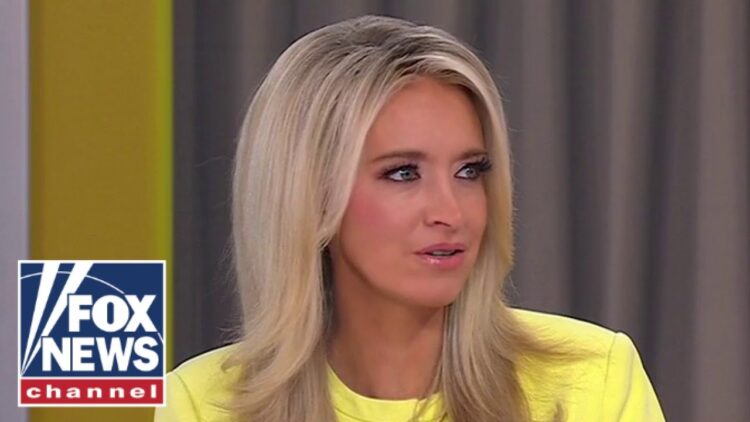 Everyone at CNN SCREAMED at me over this: McEnany