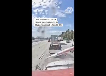 Truck driver in country illegally was under influence of drugs in Calif. crash that killed 3: police