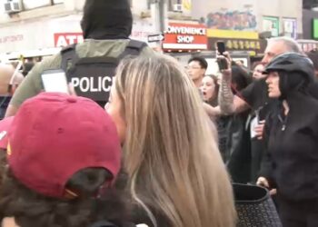 Federal immigration and customs agents crack down on vendors in Chinatown