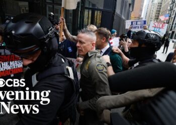 Judge admonishes ICE leader in Chicago after agents descend on Halloween parade