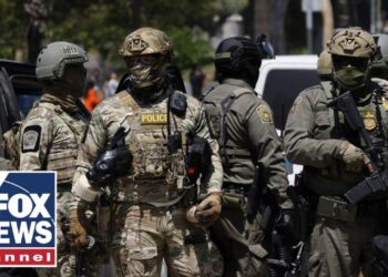 Illegal immigrant puts $10k hit on ICE officers: ‘They should be doxxed’