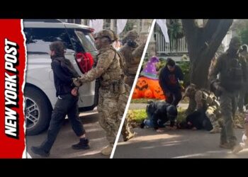 US Citizen, 67, Suffers Broken Ribs After Border Patrol Agents Drag Him Out of Car in Shocking Video