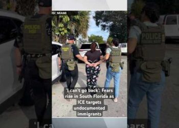 Trump’s immigration enforcement efforts are in full swing.Here’s what South Floridian’s had to say.