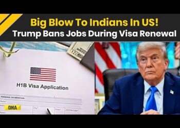 Trump News: Trump’s Visa Rule Change Hits Indians Hard, Work Ban During Renewal