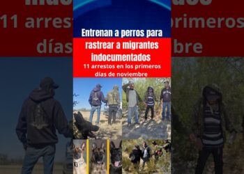 🔺Entrenan a perros para rastrear a migrantes indocumentados