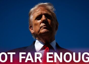 Donald Trump’s defends ICE raids, asserts immigration agency hasn’t ‘gone far enough’