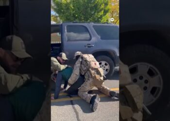 इमिग्रेशन एजेंट ने व्यक्ति को पीटा [Video shows US immigration agent punching restrained man]