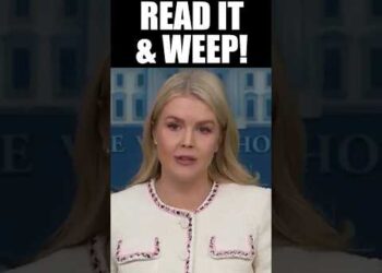 Press Gasps When Told Brutal Plan for California After Illegal Truck Driver Kills Multiple People