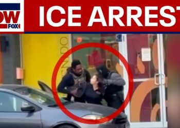 VIDEO: Chicago daycare worker arrested by ICE