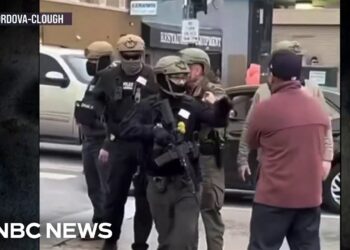 Shots fired at federal immigration agents in Chicago, says Department of Homeland Security