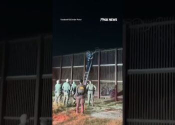 WATCH: Agents rescue person tangled in razor wire, attempting to illegally cross US border #shorts