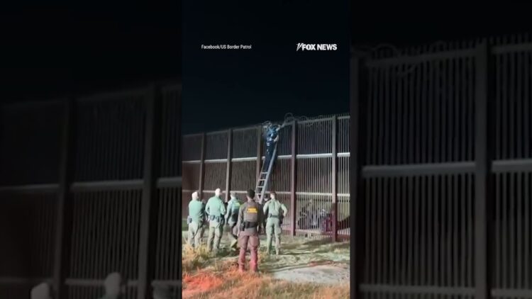 WATCH: Agents rescue person tangled in razor wire, attempting to illegally cross US border #shorts
