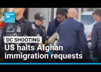 US halts Afghan immigration requests after National Guard attack • FRANCE 24 English