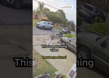 ‘Leave me alone’: 23-year-old U.S. citizen chased by ICE agents