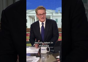 ‘Does that make America safer?’ Joe slams WH for deporting college student flying home for holiday