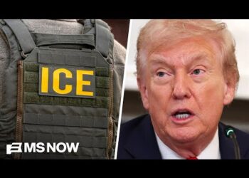 Growing reports of U.S. citizens being detained amid Trump’s immigration crackdown