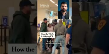 How the TSA Is Helping ICE