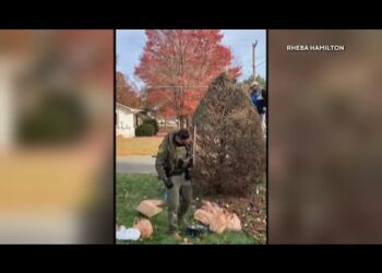 Charlotte ICE arrests: Video shows multiple operations across the city